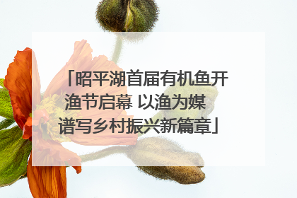 昭平湖首届有机鱼开渔节启幕 以渔为媒 谱写乡村振兴新篇章