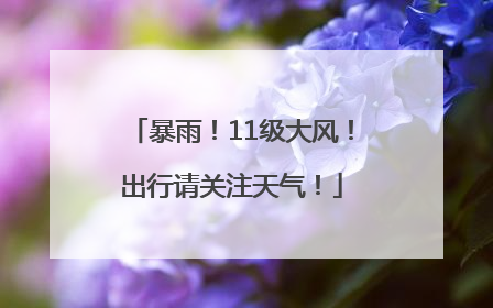 暴雨！11级大风！出行请关注天气！