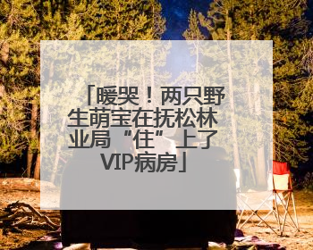 暖哭！两只野生萌宝在抚松林业局“住”上了VIP病房