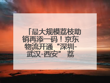 最大规模荔枝助销再添一码！京东物流开通“深圳-武汉-西安” 荔枝全货机航线