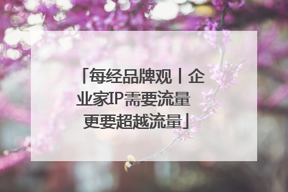 每经品牌观丨企业家IP需要流量 更要超越流量