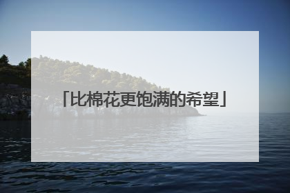 比棉花更饱满的希望