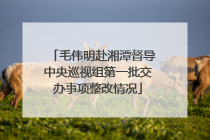 毛伟明赴湘潭督导中央巡视组第一批交办事项整改情况