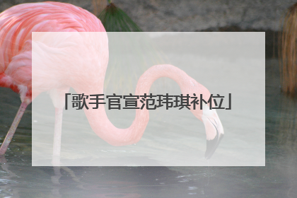 歌手官宣范玮琪补位