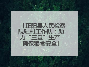 正阳县人民检察院驻村工作队：助力“三夏”生产 确保粮食安全