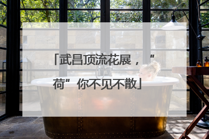武昌顶流花展，“荷”你不见不散