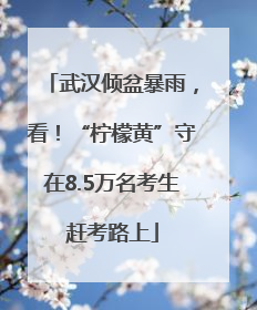 武汉倾盆暴雨，看！“柠檬黄”守在8.5万名考生赶考路上