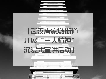 武汉唐家墩街道开展“三大精神”沉浸式宣讲活动