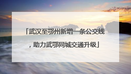 武汉至鄂州新增一条公交线，助力武鄂同城交通升级