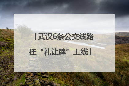 武汉6条公交线路挂“礼让牌”上线