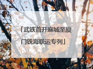 武铁首开麻城至厦门铁海联运专列