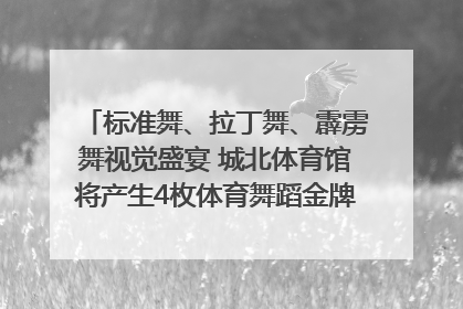 标准舞、拉丁舞、霹雳舞视觉盛宴 城北体育馆将产生4枚体育舞蹈金牌｜世运会探馆行