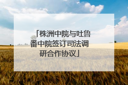 株洲中院与吐鲁番中院签订司法调研合作协议