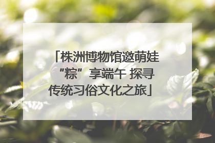 株洲博物馆邀萌娃“粽”享端午 探寻传统习俗文化之旅