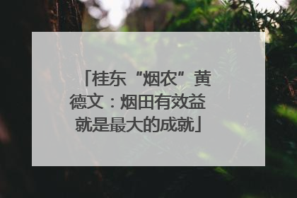 桂东“烟农”黄德文：烟田有效益就是最大的成就