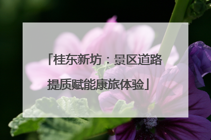 桂东新坊：景区道路提质赋能康旅体验
