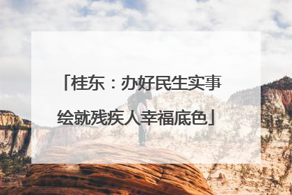 桂东：办好民生实事 绘就残疾人幸福底色