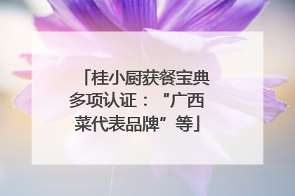 桂小厨获餐宝典多项认证：“广西菜代表品牌”等
