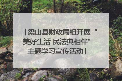 梁山县财政局组开展“美好生活 民法典相伴”主题学习宣传活动