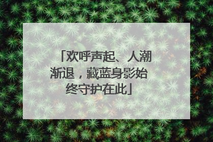 欢呼声起、人潮渐退，藏蓝身影始终守护在此