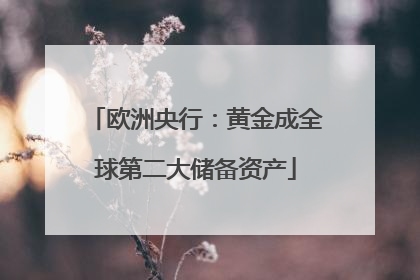 欧洲央行：黄金成全球第二大储备资产