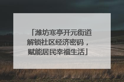 潍坊寒亭开元街道解锁社区经济密码，赋能居民幸福生活