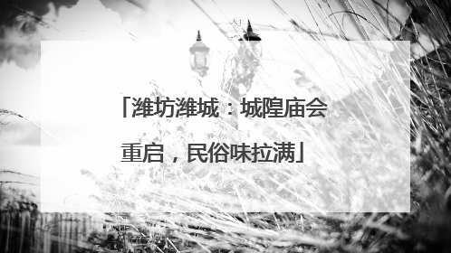 潍坊潍城：城隍庙会重启，民俗味拉满