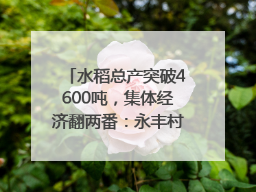 水稻总产突破4600吨，集体经济翻两番：永丰村的三年蜕变｜您牵挂的四川