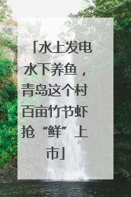 水上发电水下养鱼，青岛这个村百亩竹节虾抢“鲜”上市