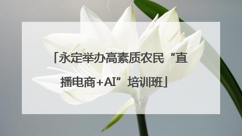 永定举办高素质农民“直播电商+AI”培训班