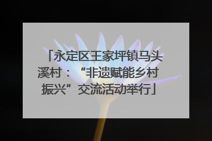 永定区王家坪镇马头溪村：“非遗赋能乡村振兴”交流活动举行