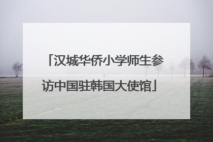 汉城华侨小学师生参访中国驻韩国大使馆