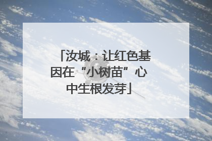 汝城：让红色基因在“小树苗”心中生根发芽