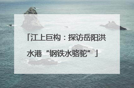 江上巨构：探访岳阳洪水港“钢铁水骆驼”