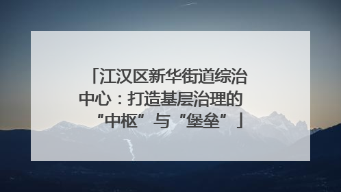 江汉区新华街道综治中心：打造基层治理的“中枢”与“堡垒”