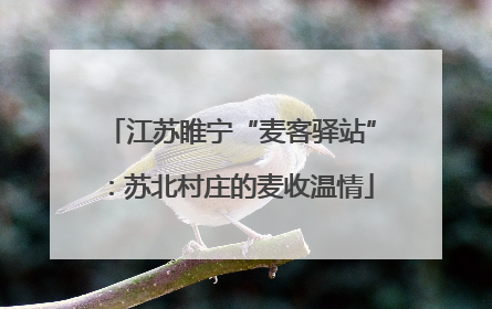 江苏睢宁“麦客驿站”：苏北村庄的麦收温情