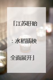 江苏盱眙：水稻插秧全面展开