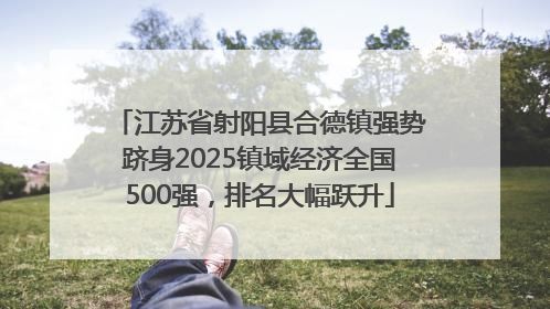 江苏省射阳县合德镇强势跻身2025镇域经济全国500强，排名大幅跃升