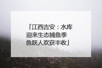 江西吉安：水库迎来生态捕鱼季 鱼跃人欢获丰收