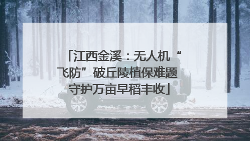 江西金溪：无人机“飞防”破丘陵植保难题 守护万亩早稻丰收