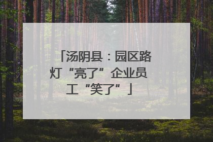 汤阴县：园区路灯“亮了”企业员工“笑了”