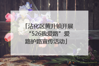 沾化区黄升镇开展“526我爱路”爱路护路宣传活动