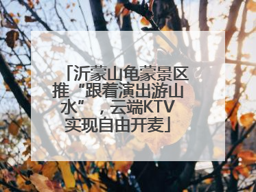 沂蒙山龟蒙景区推“跟着演出游山水”，云端KTV实现自由开麦