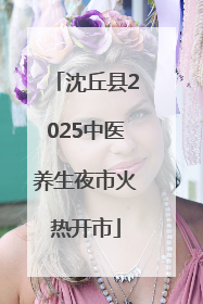沈丘县2025中医养生夜市火热开市