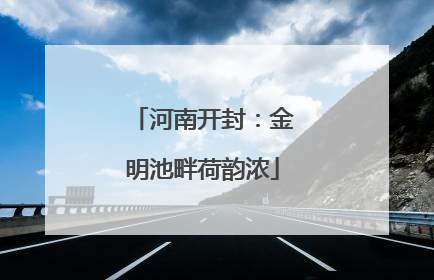 河南开封：金明池畔荷韵浓