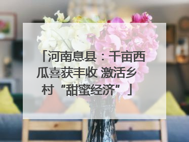 河南息县：千亩西瓜喜获丰收 激活乡村“甜蜜经济”