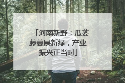 河南新野：瓜蒌藤蔓展新绿，产业振兴正当时
