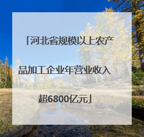 河北省规模以上农产品加工企业年营业收入超6800亿元
