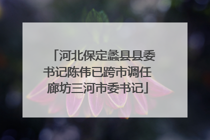 河北保定蠡县县委书记陈伟已跨市调任廊坊三河市委书记