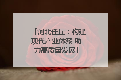 河北任丘：构建现代产业体系 助力高质量发展